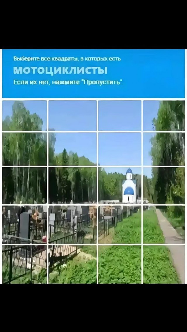 Весёлый полтишок 10.12.24