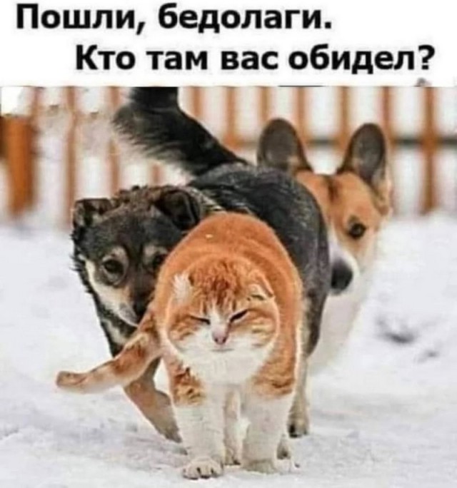 Завалялось тут случайно немного забавных картинок