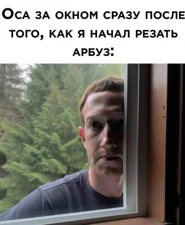 Веселые картинки в пятницу (10.01)