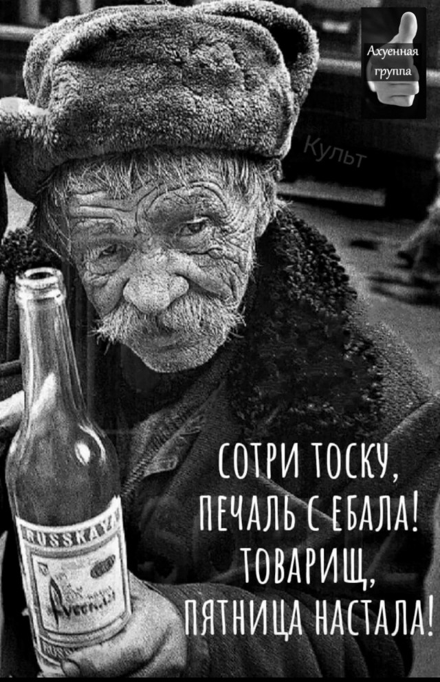 Жизнь домашнего приюта для котеек 538