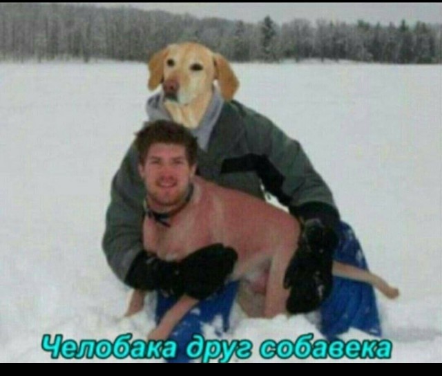 Минутка деградации