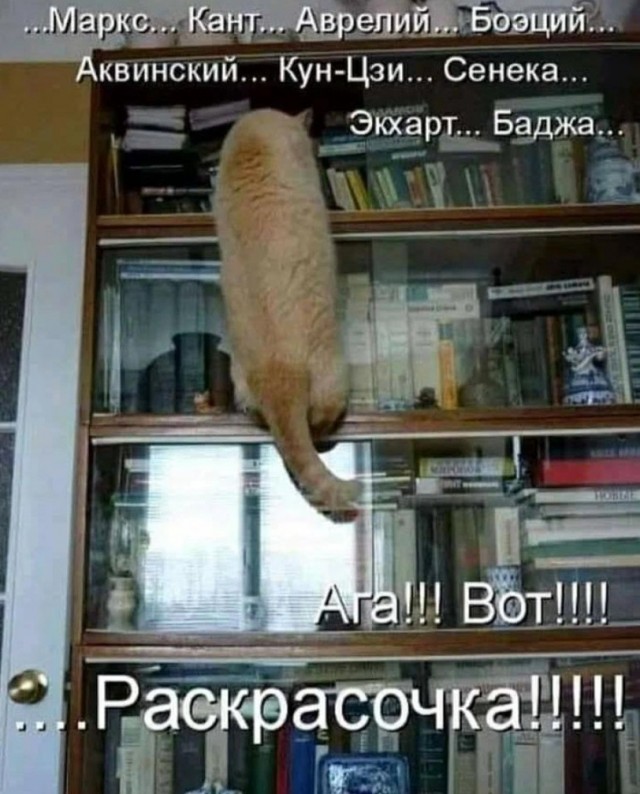 Жители Москвы массово жалуются, что у них в квартирах холодно и сыро, а отопление уже отключили