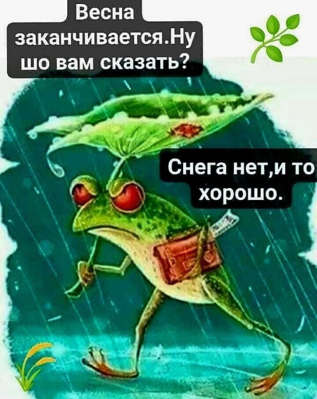 Маленькая пятница 14.05.25