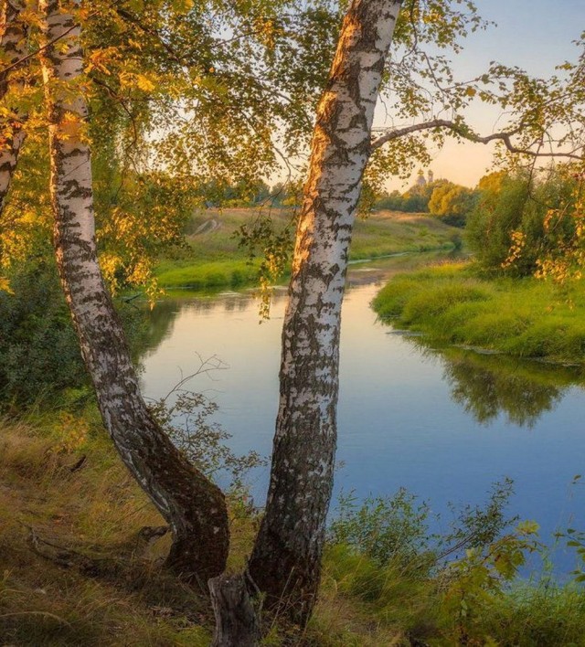 Немного ассортити....