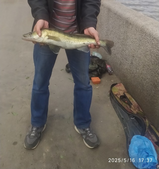 Четверг рыбный день.