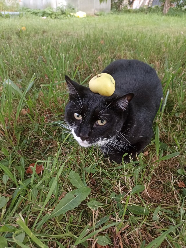 Его первый вторник