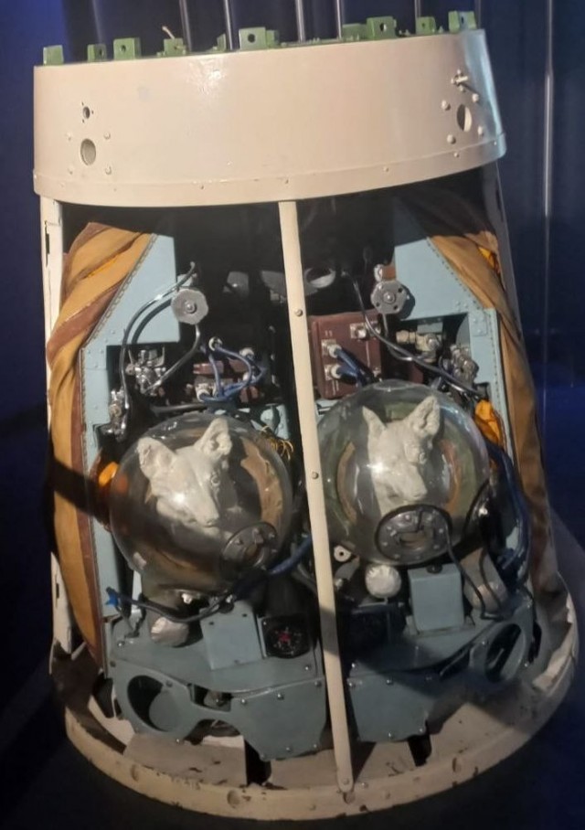 65 лет назад, 19 августа 1960, Белка и Стрелка стали космонавтами