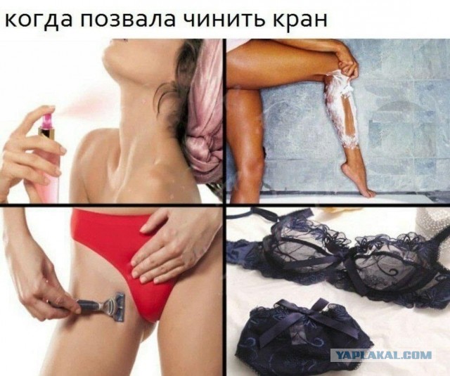 Картинки из ТГ чатов