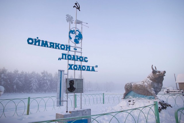 Когда муж - ботаник