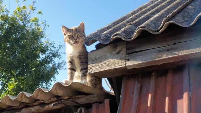 Не все потеряно пока есть такие дети