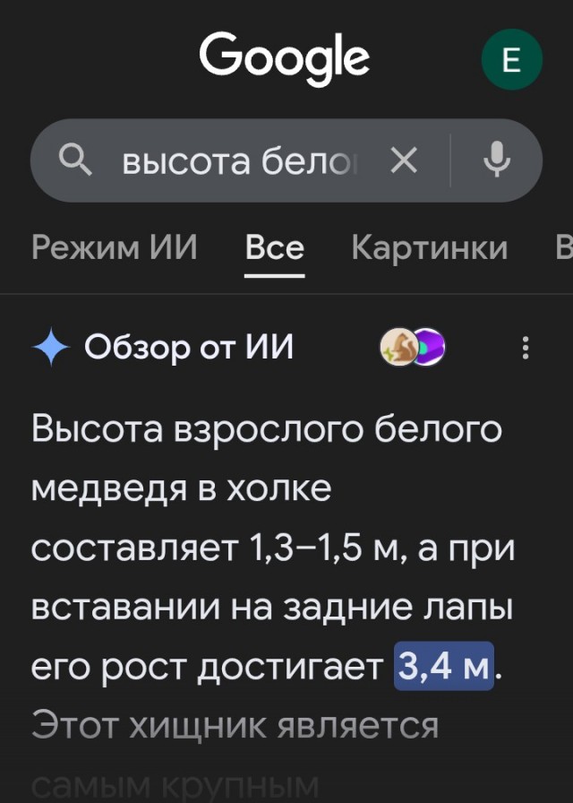 Белый мишка