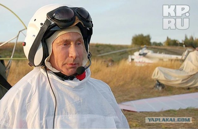 Голубей-дронов изобрели в России — они будут защищать ЛЭП и газораспределительные узлы