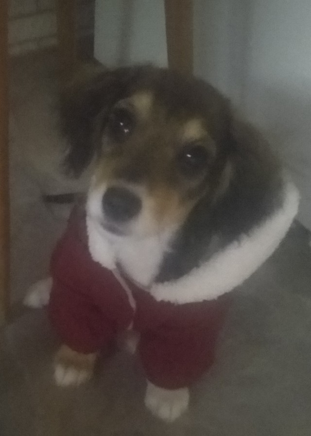 Неделя Бони на ЯПе