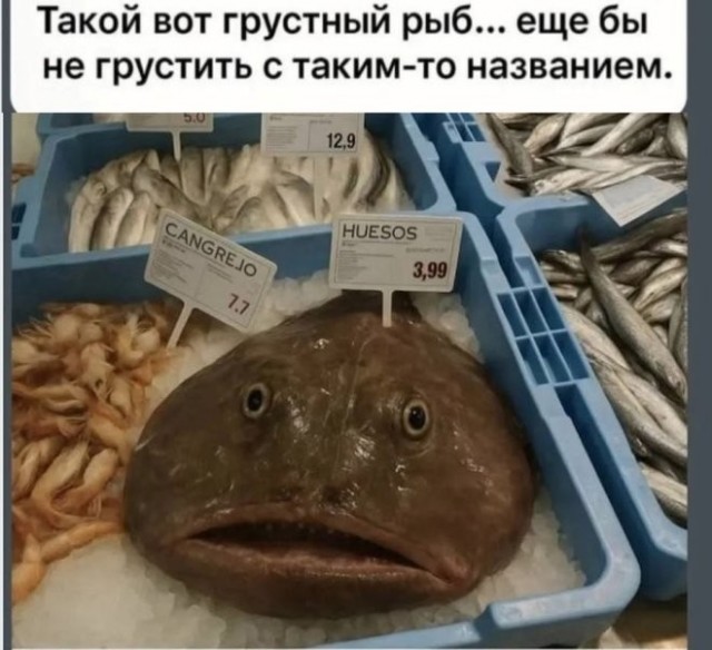21137879.jpg