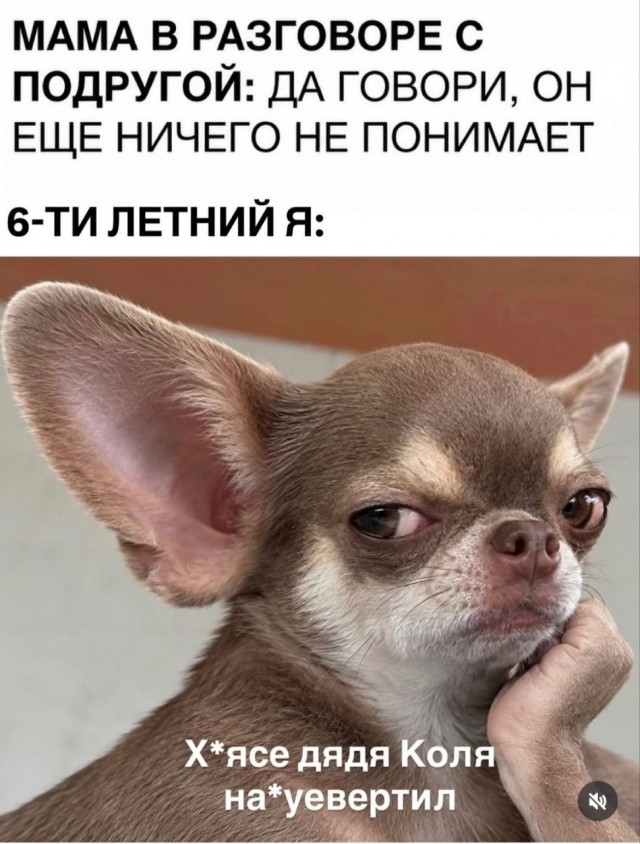 Картинки для деградации 259 (разной степени свежести)