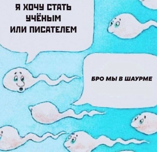 Веселые картинки в пятницу (25.09)