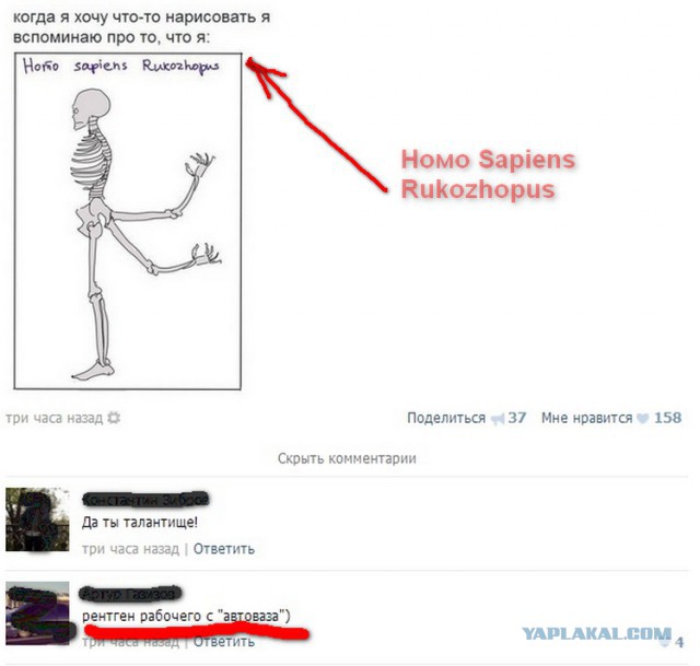 Смешное из соц сетей