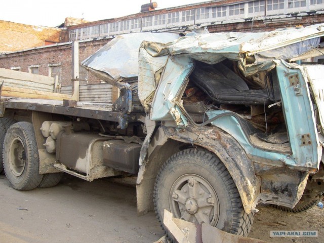 Веселые картинки