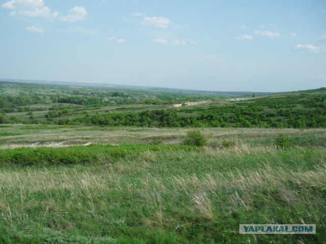 Кладоискательство & нумизматика