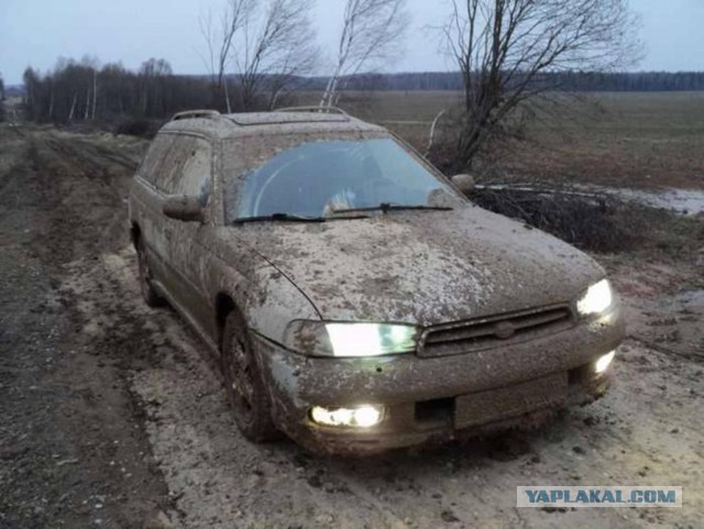 Перепись субароводов ЯПа