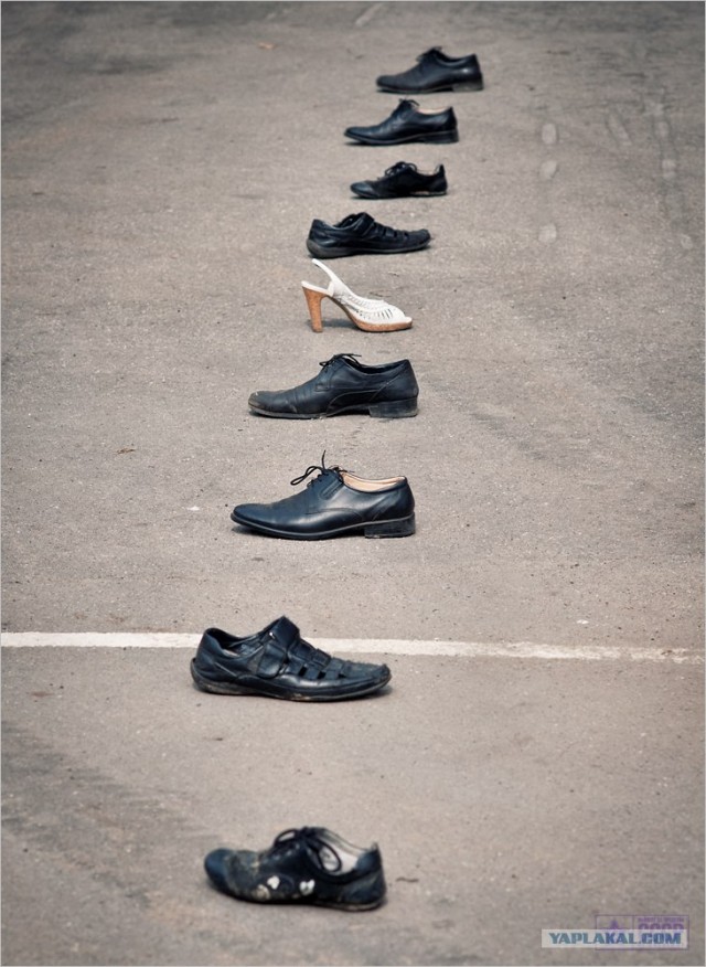 Центр кинологической службы Упр-ния на транспорте