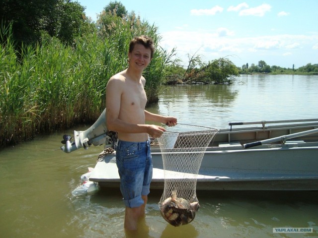 Как кто провёл лето