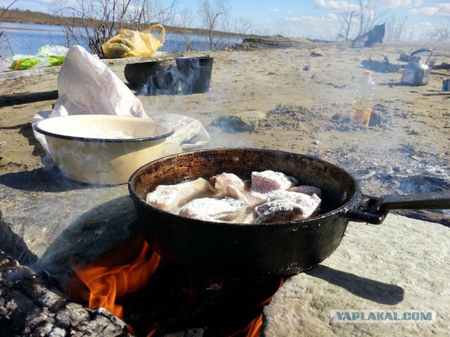 Как заработал на курорт