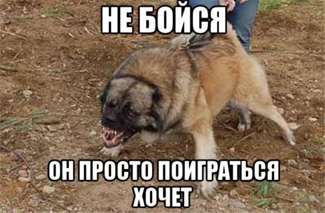 Как я воспользовался травматом