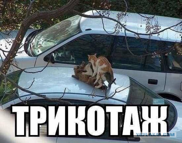 Наркоманский юмор