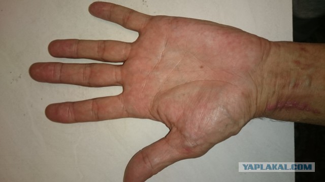 Исследую Хиромантию (Часть 2, спустя год)