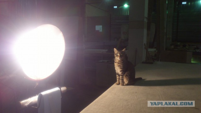 Настало время ...