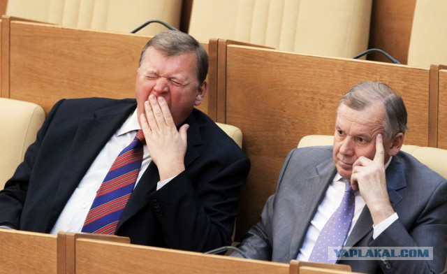 Ходят ли депутаты и чиновники за продуктами