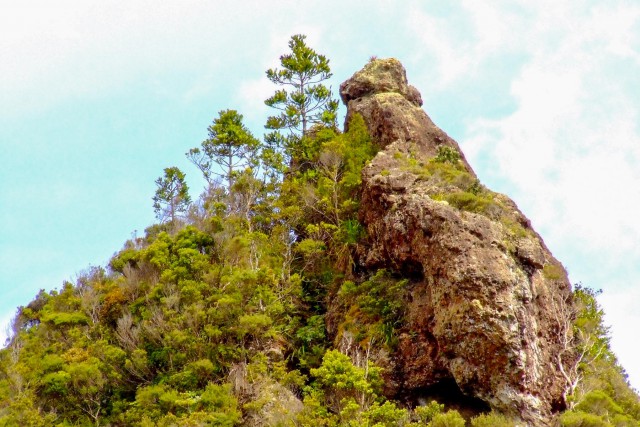 Great Barrier Island. Новая Зеландия.