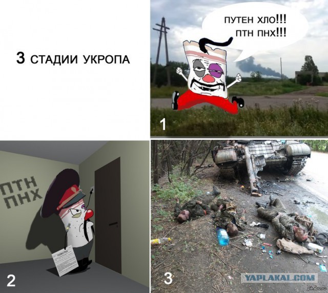 На Украине фашистов нет!