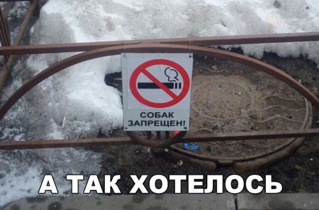 Подборка безудержного веселья