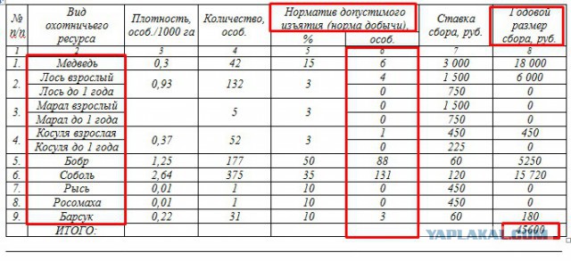 Кузбасские чиновники продают 142 тысячи гектаров тайги рядом с госзаповедником за 6 400 рублей