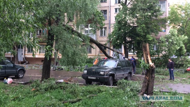 В Москве ураган!