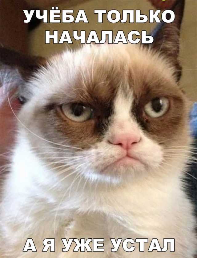 150 картинки для поднятия настроения!