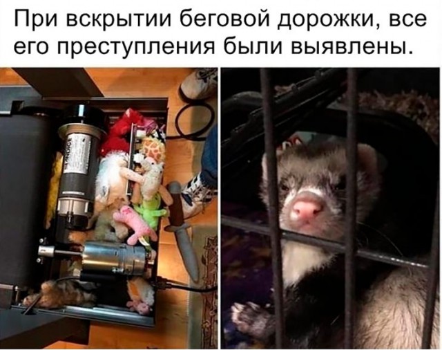 Немного картинок для настроения