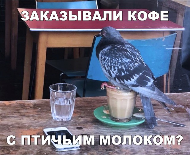 Нестандартный юмор