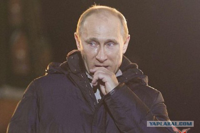 Меркель затрясло на встрече с Зеленским