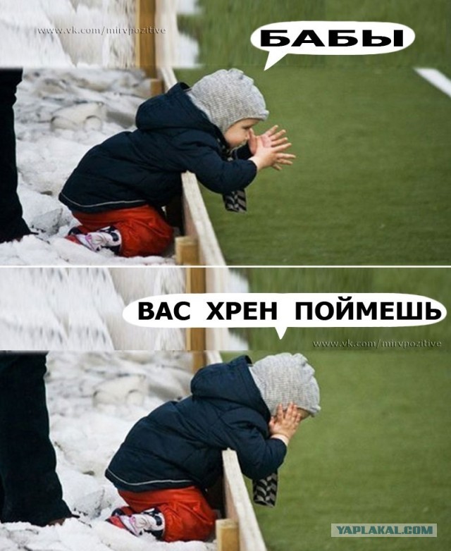Чуток картинок 08.11.19