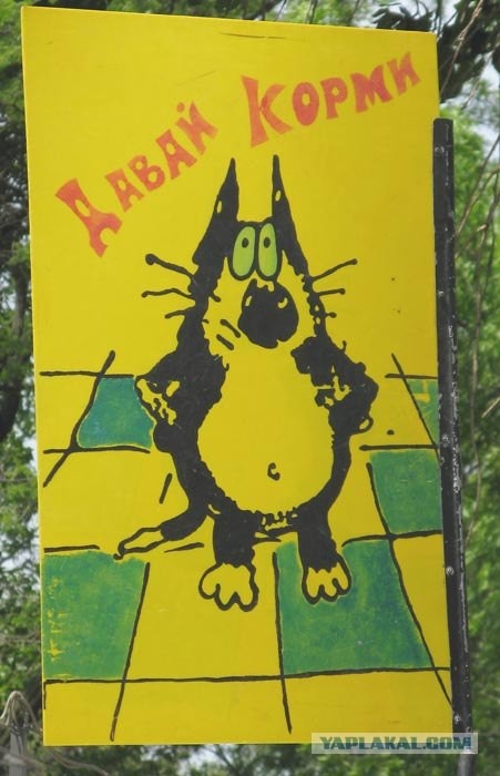 Давай корми!