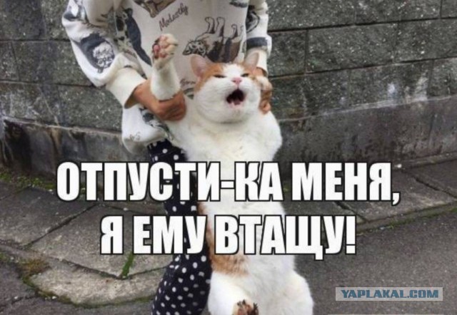 Варианты экипировки для депутата в зависимости от цели поездки.