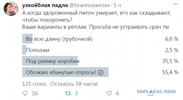 Бредзона 21.03.2021