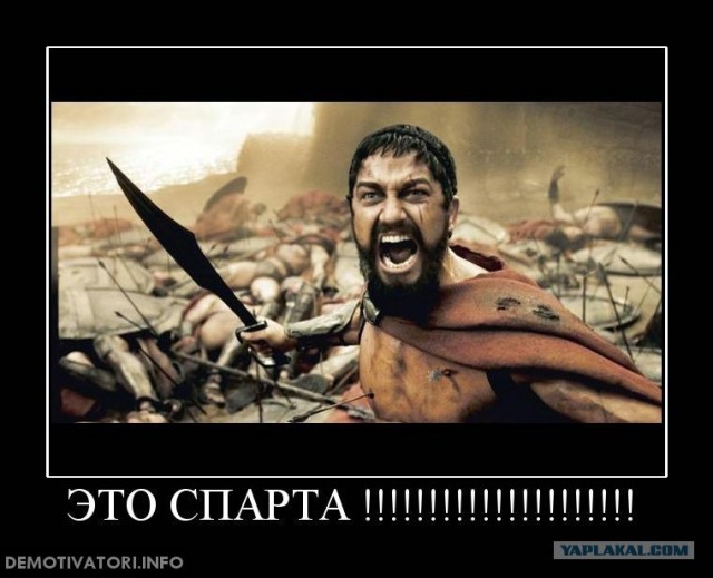 Отправил в нокаут дерзкого бойца
