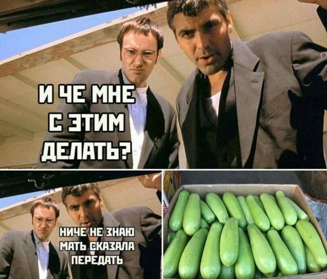 Весёлый полтишок 10.08