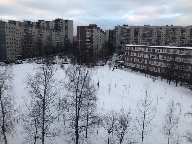 Первое января глазами непьющего человека