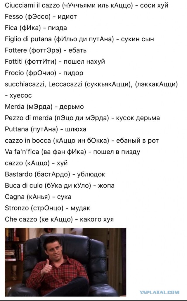Не квакай!