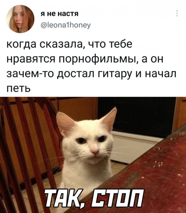 Весёлый полтишок 06.04.22